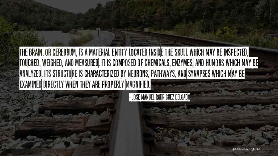 Magnified Quotes By Jose Manuel Rodriguez Delgado Magnified Quotes By Jose Manuel Rodriguez Delgado