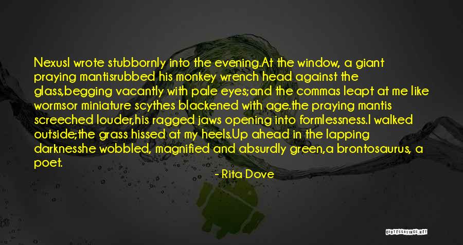 Magnified Quotes By Rita Dove Magnified Quotes By Rita Dove