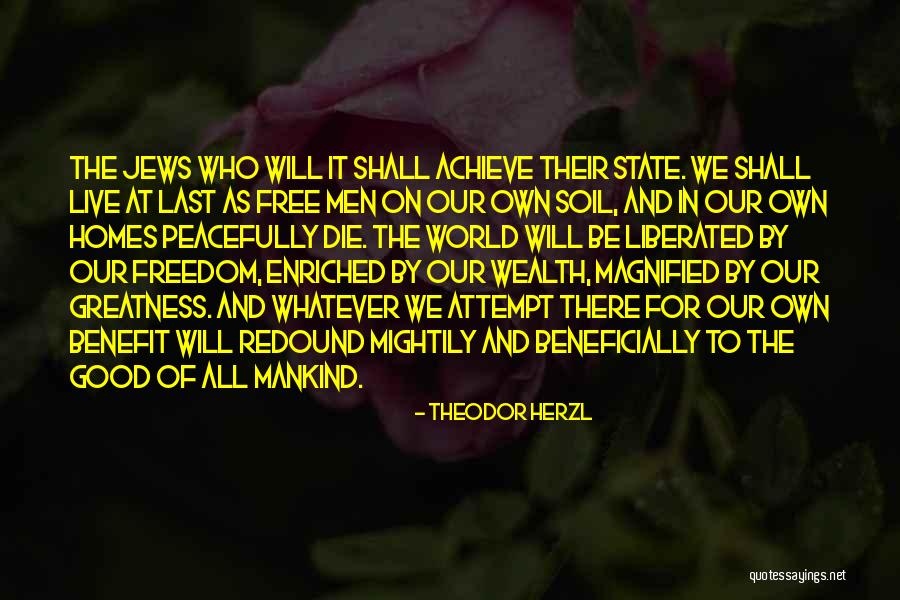 Magnified Quotes By Theodor Herzl