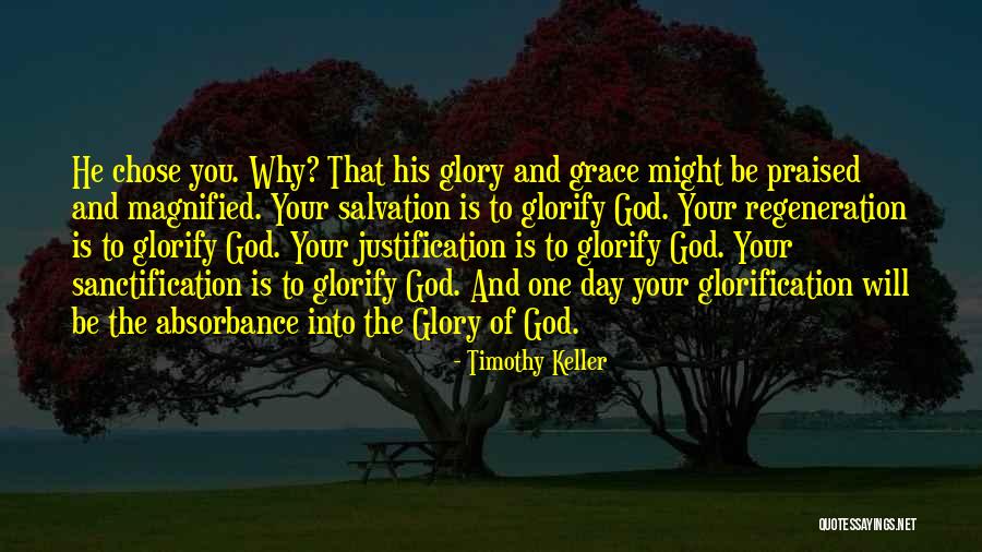 Magnified Quotes By Timothy Keller Magnified Quotes By Timothy Keller