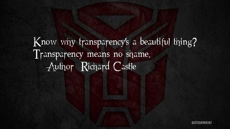 Magnifique French Quotes By Richard Castle