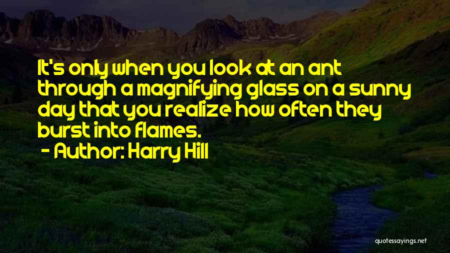 Magnifying Quotes By Harry Hill