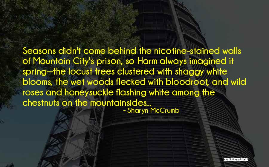 Magnor Glass Quotes By Sharyn McCrumb Magnor Glass Quotes By Sharyn McCrumb