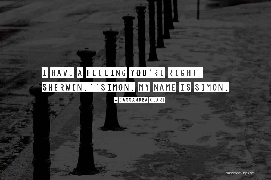 Magnus Bane Mortal Instruments Quotes By Cassandra Clare