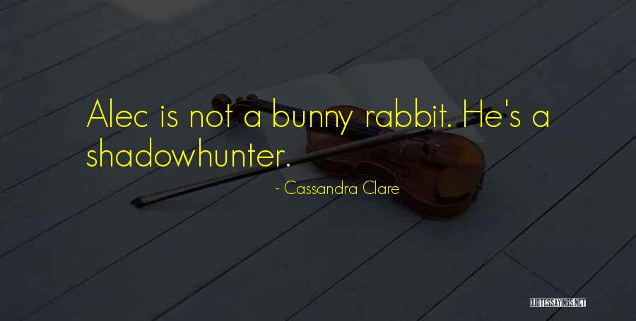 Magnus Bane Mortal Instruments Quotes By Cassandra Clare