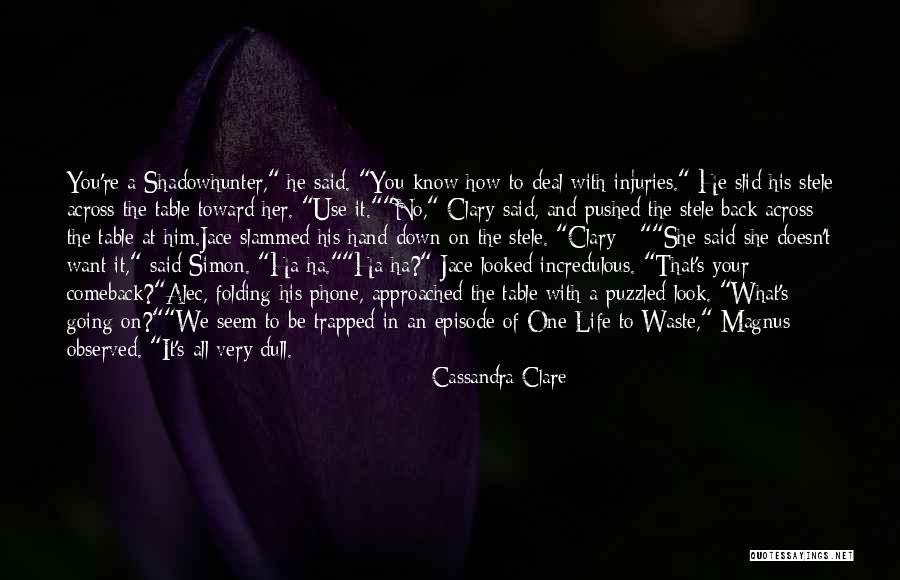 Magnus Bane Quotes By Cassandra Clare Magnus Bane Quotes By Cassandra Clare