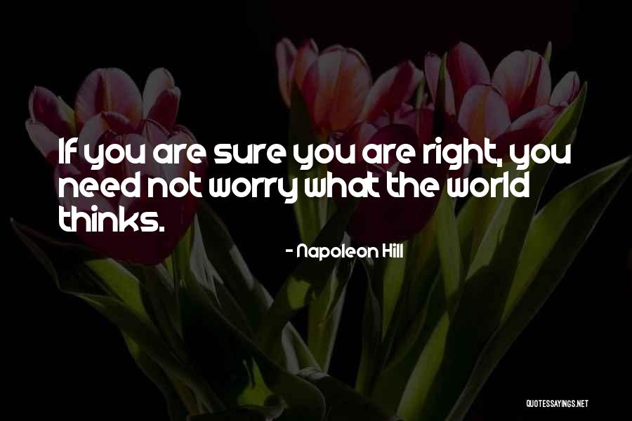 Magnus Chase Quotes By Napoleon Hill Magnus Chase Quotes By Napoleon Hill