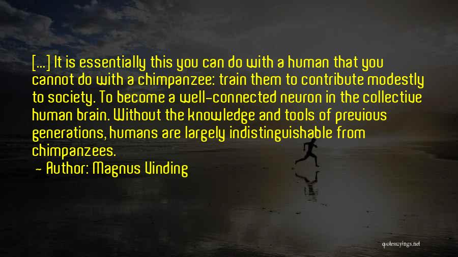 Magnus Vinding Quotes 851136