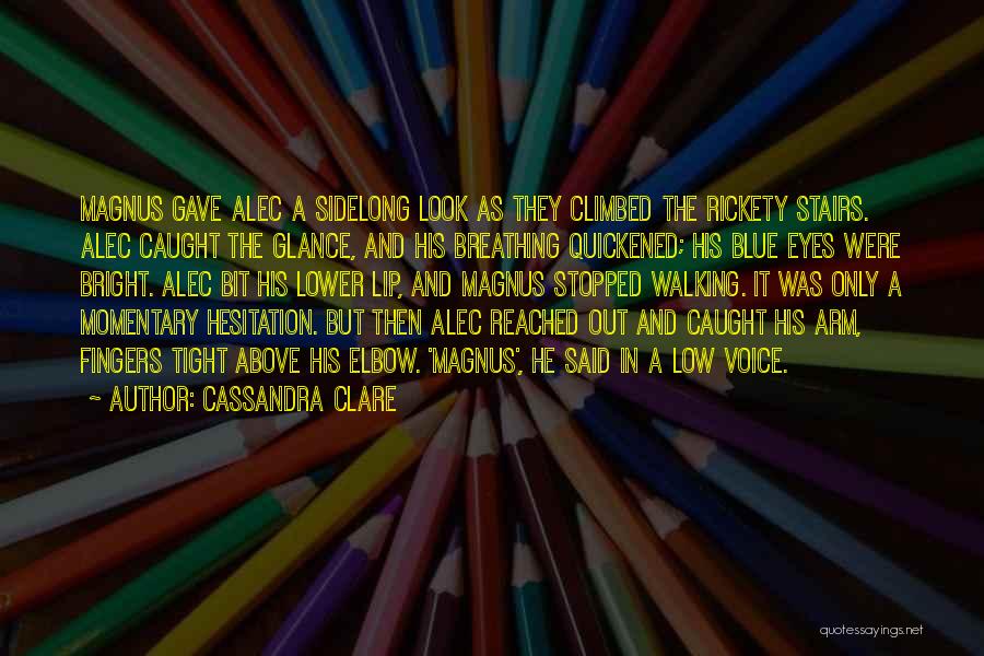 Magnus X Alec Quotes By Cassandra Clare