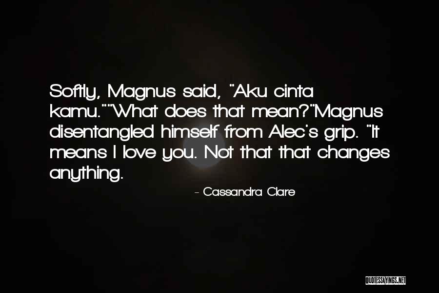 Magnus X Alec Quotes By Cassandra Clare