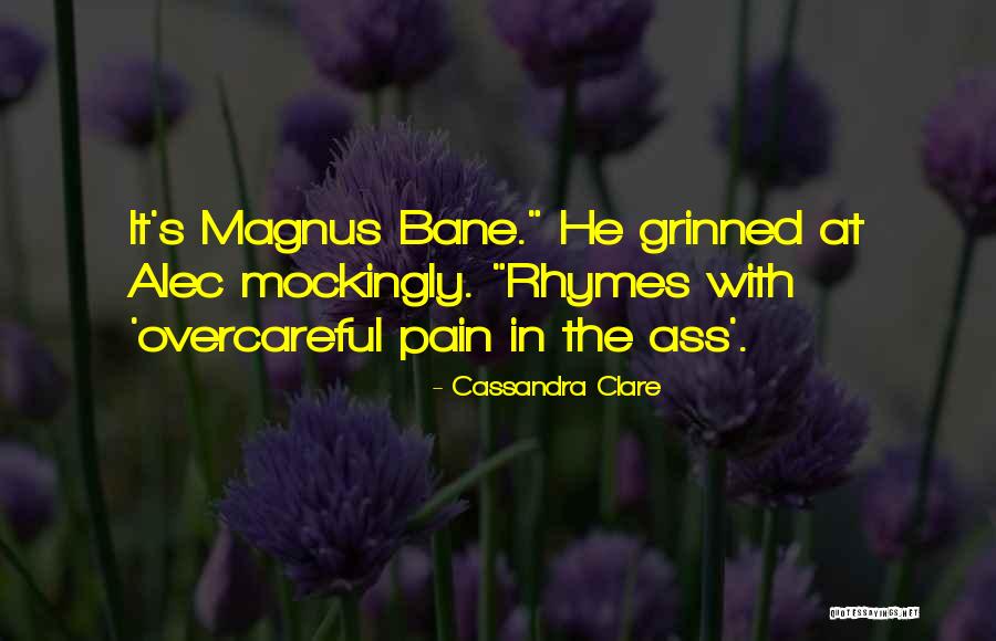 Magnus X Alec Quotes By Cassandra Clare