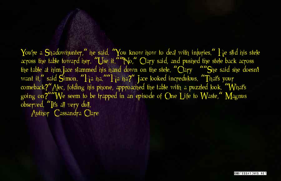 Magnus X Alec Quotes By Cassandra Clare