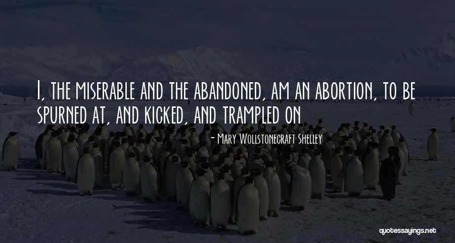 Magotteaux Pulaski Quotes By Mary Wollstonecraft Shelley Magotteaux Pulaski Quotes By Mary Wollstonecraft Shelley