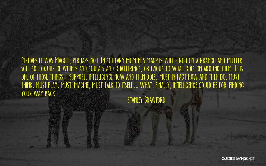 Magpies Bird Quotes By Stanley Crawford Magpies Bird Quotes By Stanley Crawford