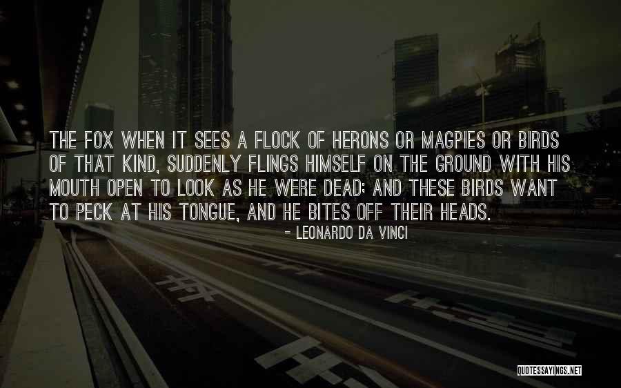 Magpies Birds Quotes By Leonardo Da Vinci Magpies Birds Quotes By Leonardo Da Vinci