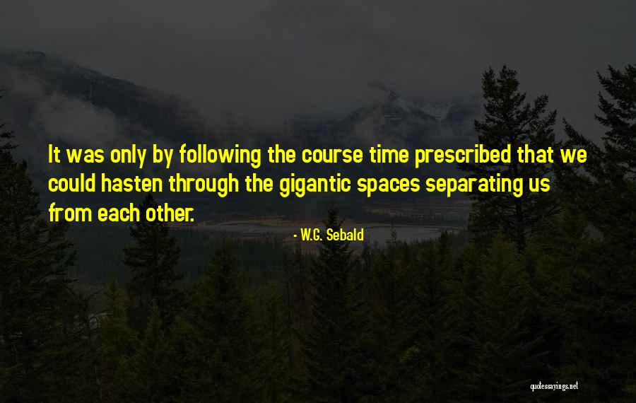 Magrini Quotes By W.G. Sebald Magrini Quotes By W.G. Sebald