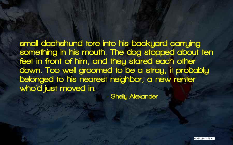 Magrys Quotes By Shelly Alexander Magrys Quotes By Shelly Alexander