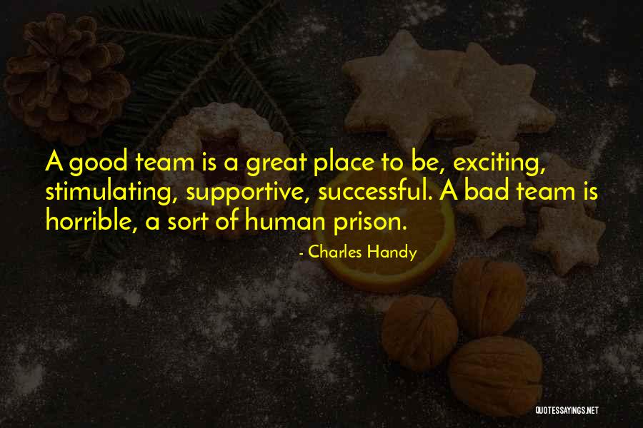Magsino Nancy Quotes By Charles Handy Magsino Nancy Quotes By Charles Handy