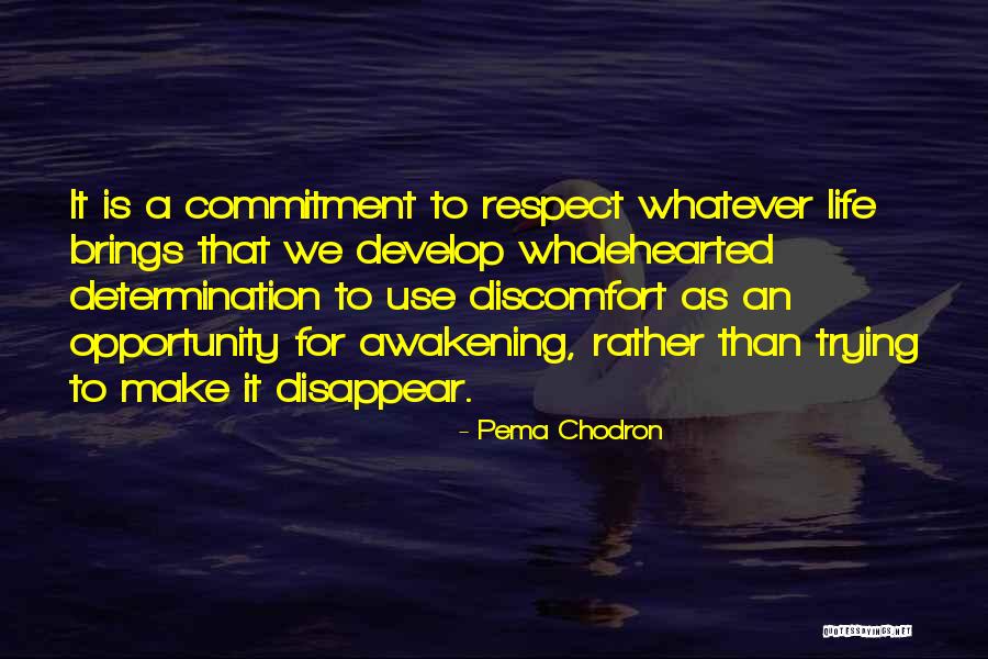 Magsino Nancy Quotes By Pema Chodron Magsino Nancy Quotes By Pema Chodron