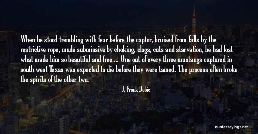 Maguila Vs Falconi Quotes By J. Frank Dobie Maguila Vs Falconi Quotes By J. Frank Dobie