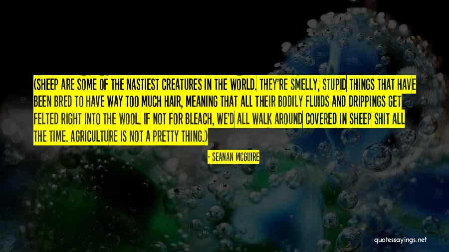 Maguindanao Quotes By Seanan McGuire Maguindanao Quotes By Seanan McGuire