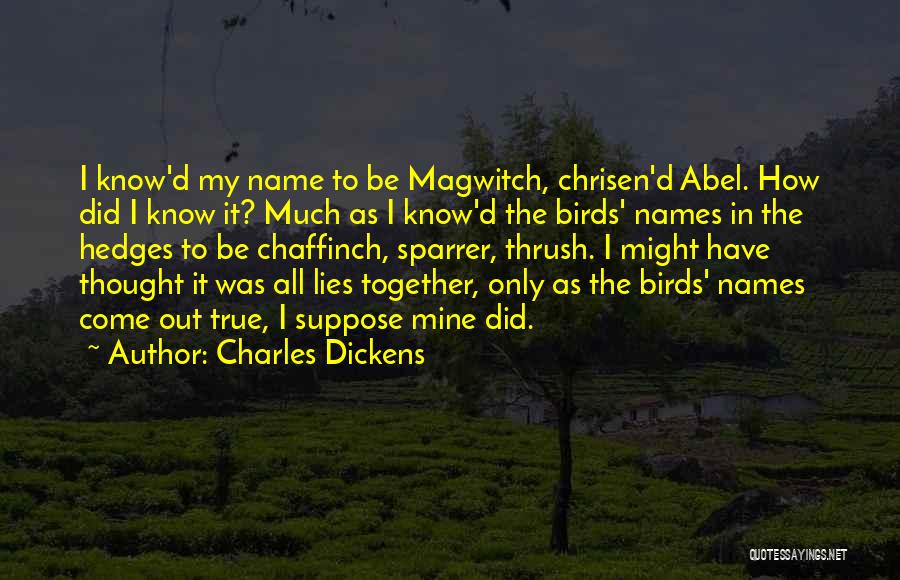 Magwitch Quotes By Charles Dickens
