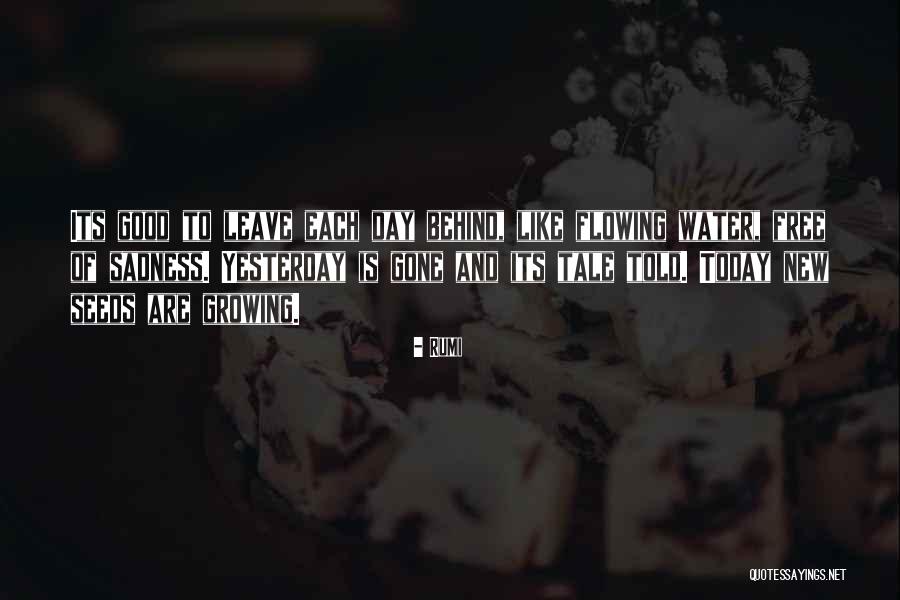 Mahaguru Mantra Quotes By Rumi Mahaguru Mantra Quotes By Rumi