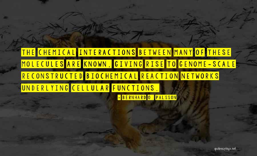 Maharaja Ranjit Singh Quotes By Bernhard O. Palsson Maharaja Ranjit Singh Quotes By Bernhard O. Palsson