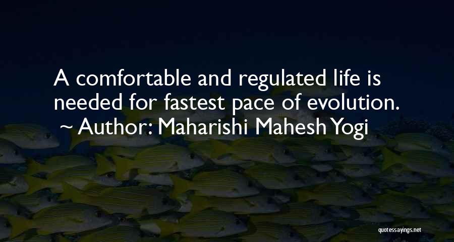 Mahesh Yogi Quotes By Maharishi Mahesh Yogi