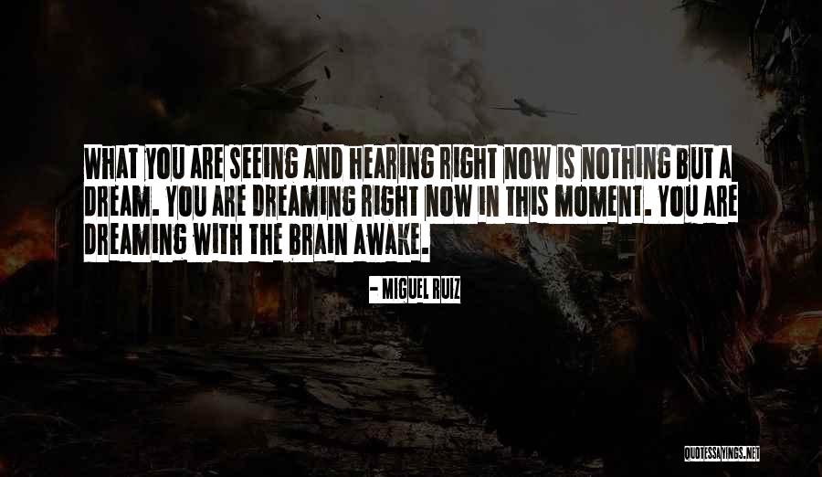 Mahieddine Bentir Quotes By Miguel Ruiz Mahieddine Bentir Quotes By Miguel Ruiz