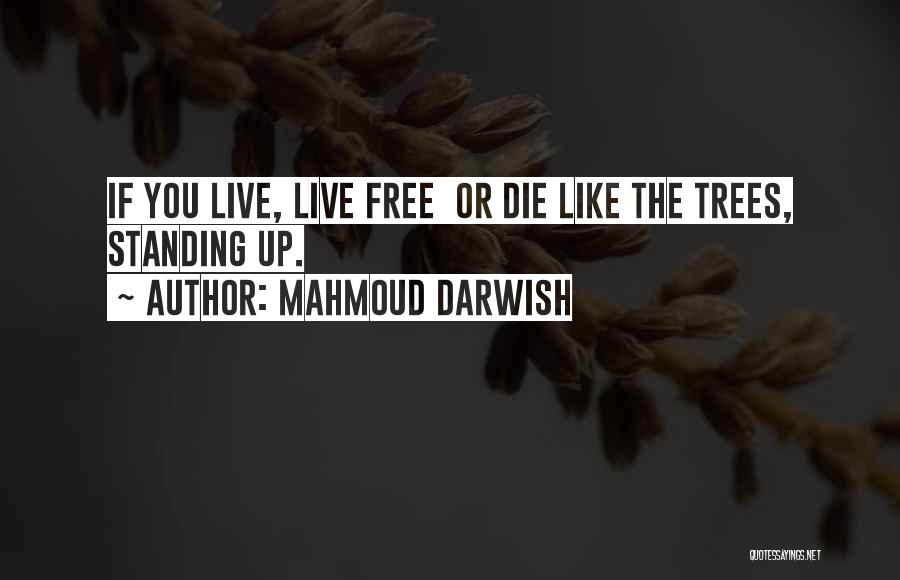 Mahmoud Darwish Quotes 273894