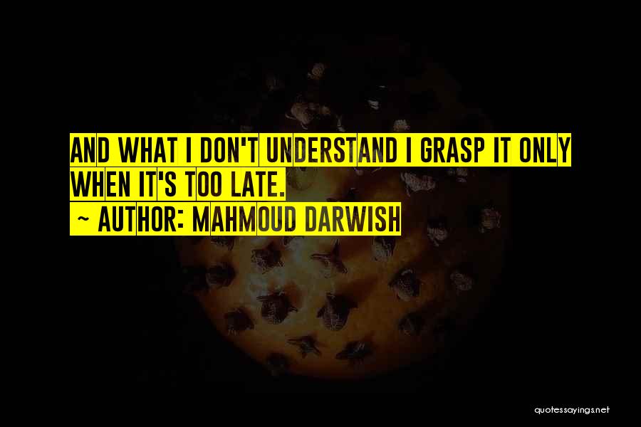 Mahmoud Darwish Quotes 794067