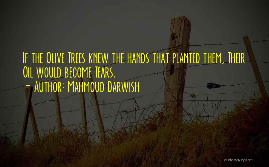 Mahmoud Darwish Quotes 84639