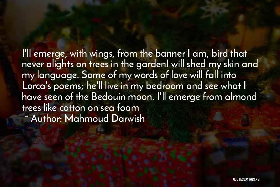 Mahmoud Darwish Quotes 966842