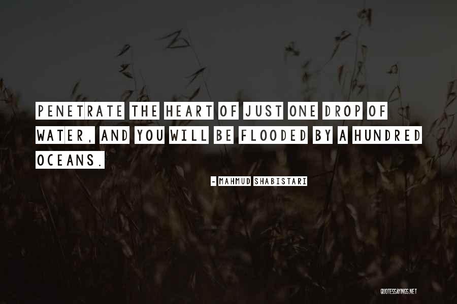 Mahmud Shabistari Quotes 574725 Mahmud Shabistari Quotes 574725