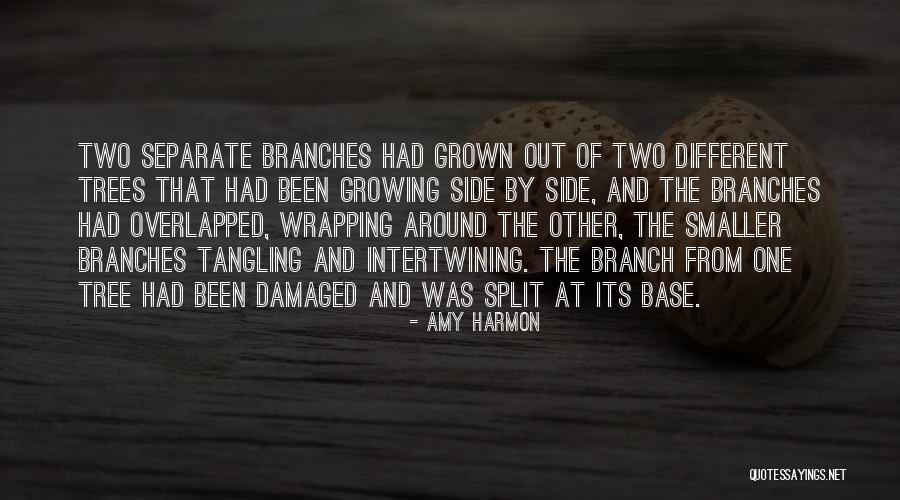 Mahnke Militaria Quotes By Amy Harmon Mahnke Militaria Quotes By Amy Harmon