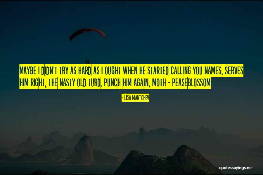 Mahsanei Quotes By Lisa Mantchev Mahsanei Quotes By Lisa Mantchev
