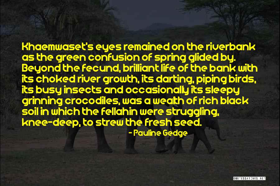 Mahyin Quotes By Pauline Gedge Mahyin Quotes By Pauline Gedge