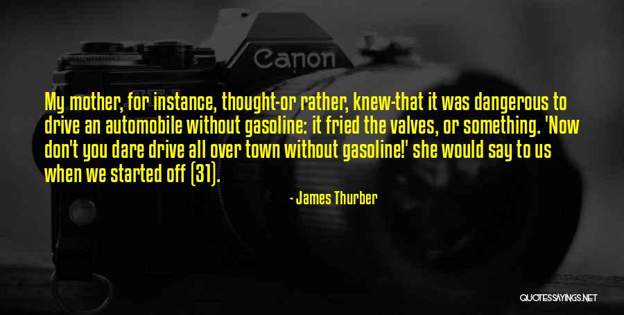 Maialen Dissard Quotes By James Thurber Maialen Dissard Quotes By James Thurber