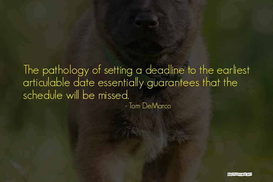 Maidhof Bros Quotes By Tom DeMarco Maidhof Bros Quotes By Tom DeMarco