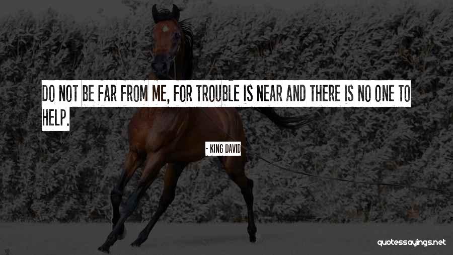 Maier Fenders Quotes By King David Maier Fenders Quotes By King David