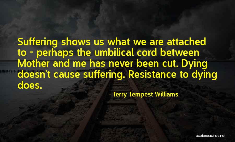 Maier Fenders Quotes By Terry Tempest Williams Maier Fenders Quotes By Terry Tempest Williams