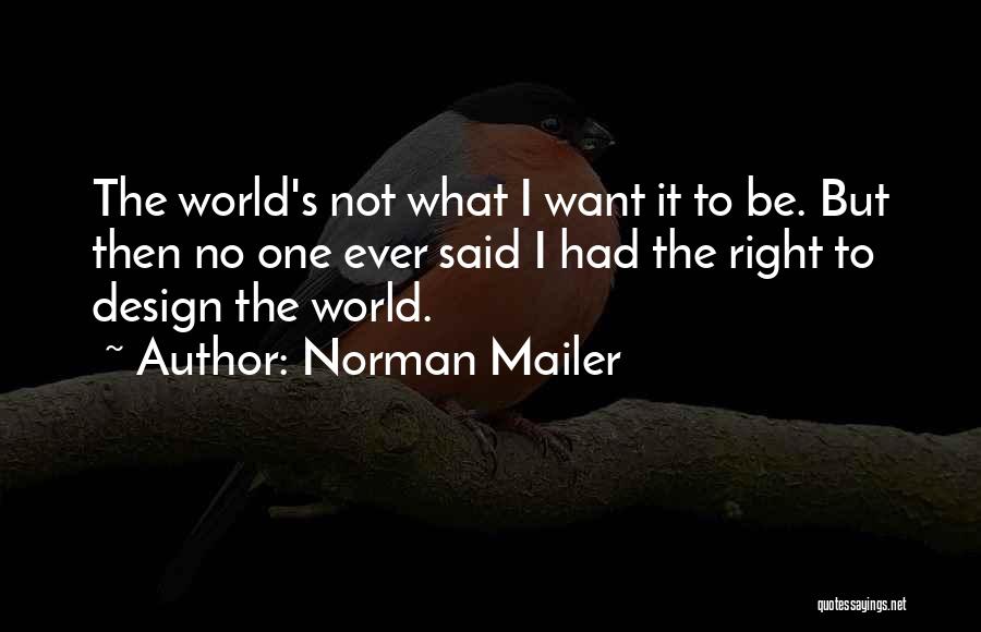 Mailer Quotes By Norman Mailer