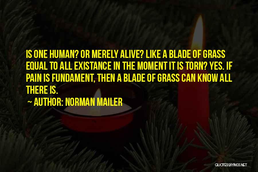 Mailer Quotes By Norman Mailer