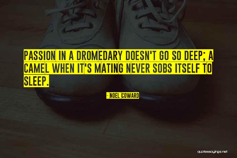 Mailgrams Locations Quotes By Noel Coward Mailgrams Locations Quotes By Noel Coward