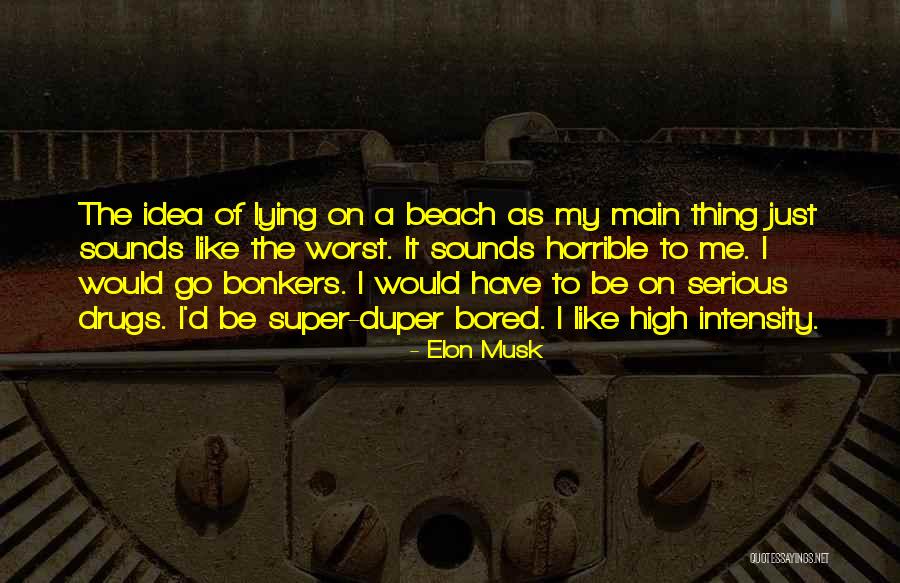 Main Idea Quotes By Elon Musk