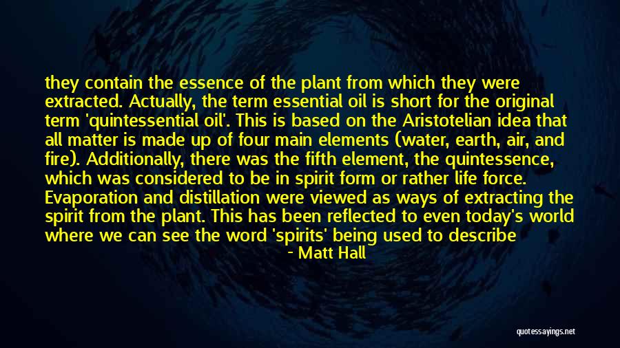 Main Idea Quotes By Matt Hall