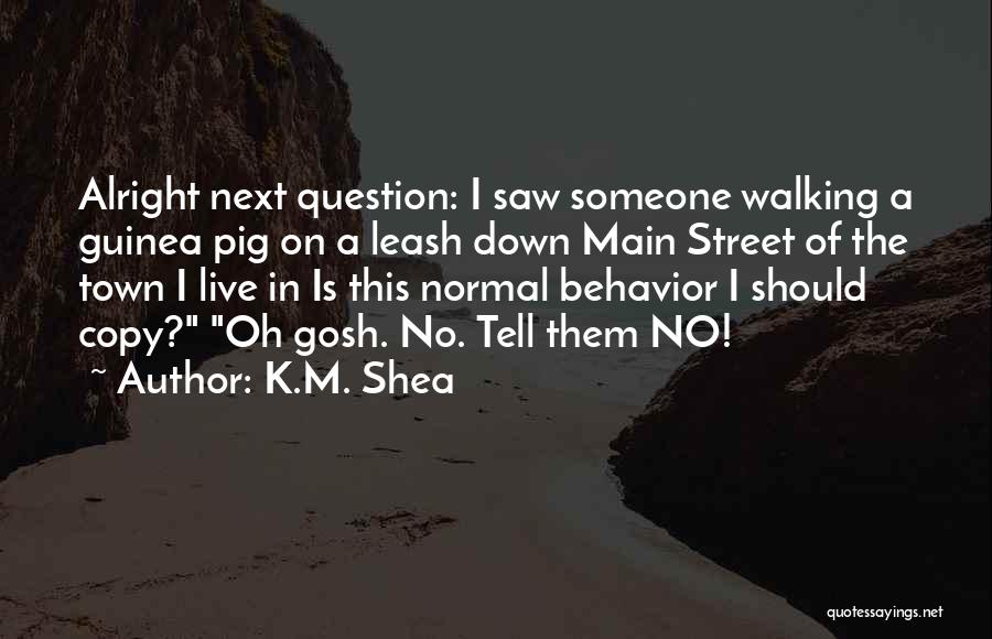 Main Street Quotes By K.M. Shea