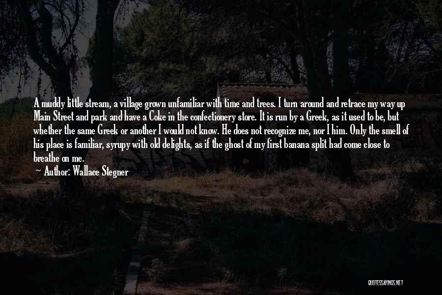 Main Street Quotes By Wallace Stegner