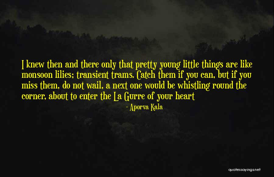 Mainat Sarda Quotes By Aporva Kala Mainat Sarda Quotes By Aporva Kala